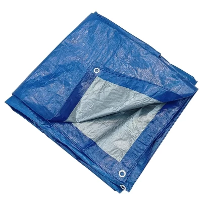 Caiman 885458 Blue-Silver Tarp 110gr - 4x5m - 20m2 